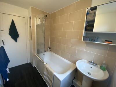 Picture 11